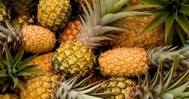 benefici-dell-ananas