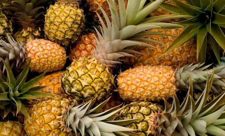 benefici-dell-ananas