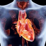Interventi cardiaci mininvasivi: una rivoluzione per le valvole