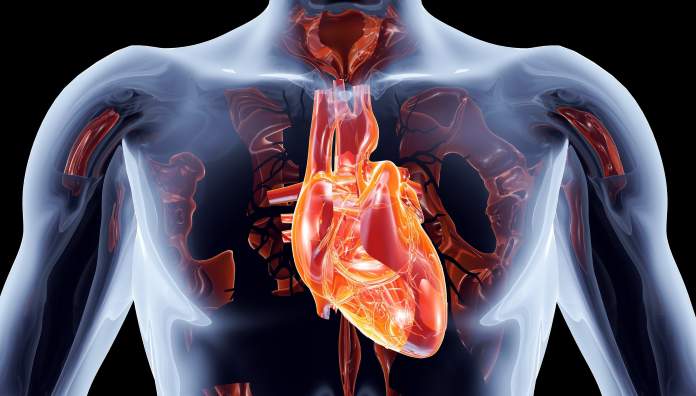 Interventi cardiaci mininvasivi: una rivoluzione per le valvole