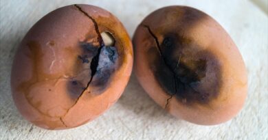 errori-comuni-in-cucina