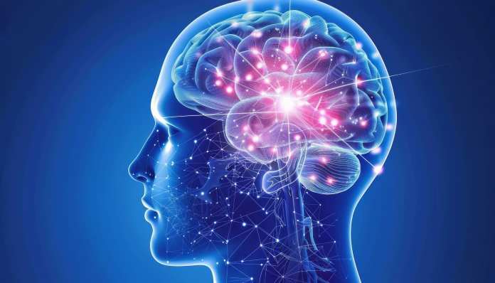 Meningite tubercolare: cos’è, sintomi, contagio e terapie