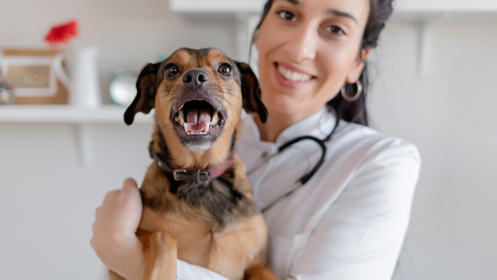 Cannabis contro il dolore: un rimedio di cui beneficiano anche gli animali