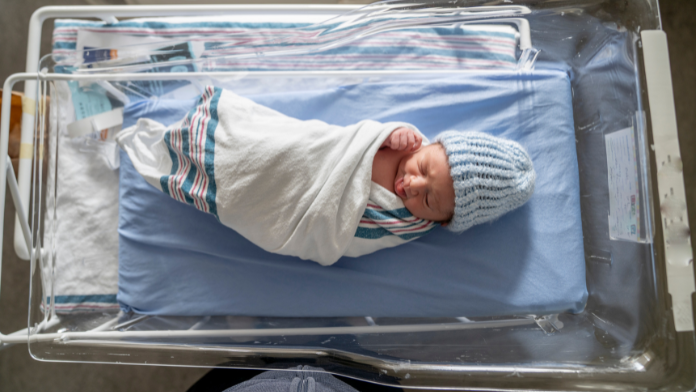 Perché nascono più maschi? Scoperto il “gene egoista” che può alterare il sesso dei figli